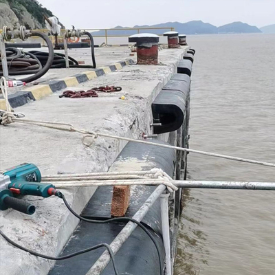Natural Rubber D Type Fenders 300H For Heavy Duty Marine Large Wharf Ships