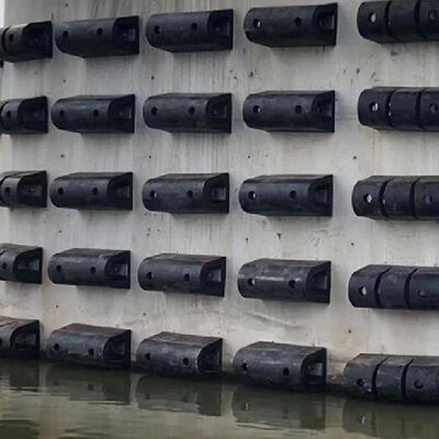 D Type Fenders Space Saving Stable Structure Simple Maintenance Marine Rubber Fender